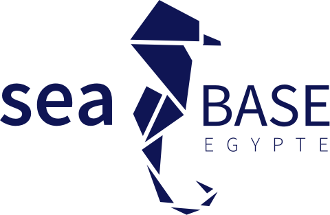 SEA BASE Logo